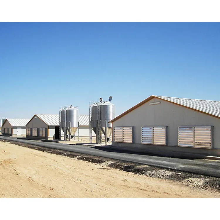 Costruzione prefabbricata di edifici agricoli in metallo con struttura in acciaio su larga scala