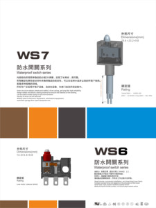 Push Button mikroswitch 4A 25T85 için WS7-DDB250-7604 üretici kaynağı mikro anahtarı su geçirmez IP 67 garaj kapıları için - Product Image 4