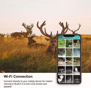 SUNTEK WiFi APP Control 36MP 2.7K กล้องล่าสัตว์,กล้องส่องกลางคืนกันน้ำ IP65กล้องตรวจสอบเส้นทาง WiFi 801Plus - Product Image 3