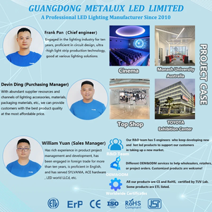 METALUX üst WS2811 RGBIC kovalayan piksel LED şerit 720LED adresli Cob dijital 12v/24v sihirli renk için aydınlatma dekorasyon - Product Image 6