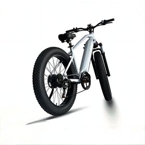 Customized Logo 4.0 Fat <strong>Tire</strong> Adult Electric Mountain Bike 21 Speed 500W/1000W/2000W <strong>26</strong> Inch 48v Snowbike 1000W Electric Bicycle