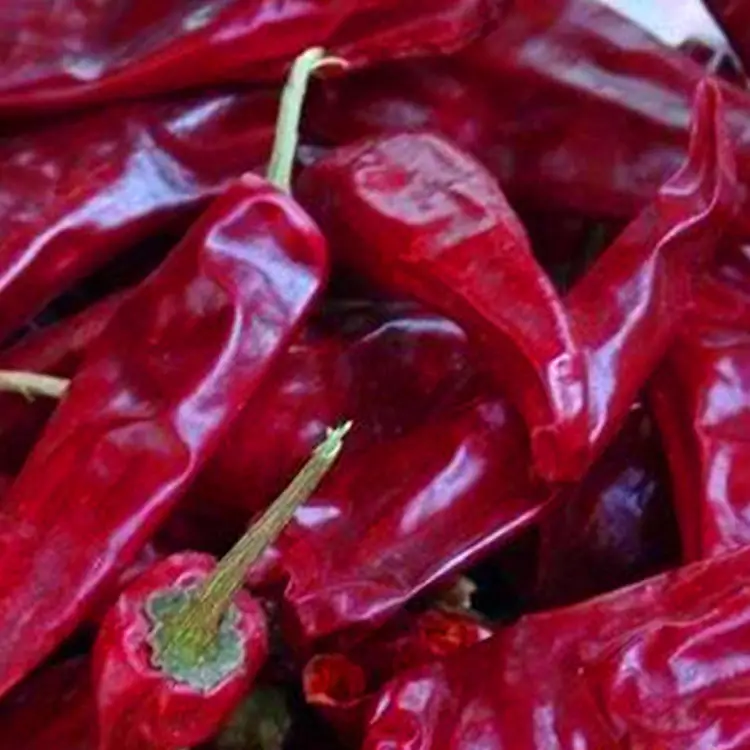 Condimento de alimentos más vendido, pimiento de chile rojo seco Natural 100%, chile rojo puro, exportador de pimienta DE LA India