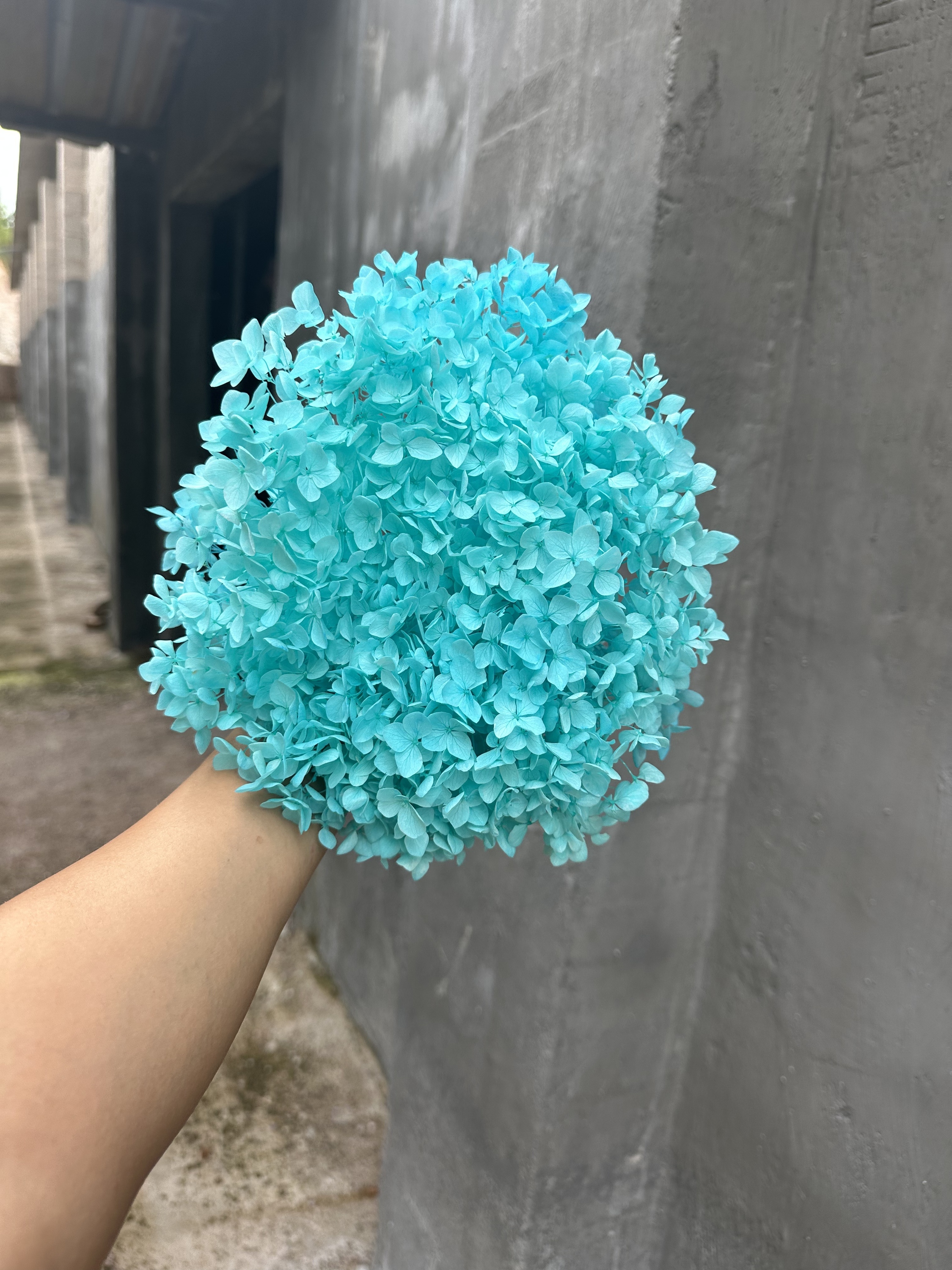 bleu tiffany