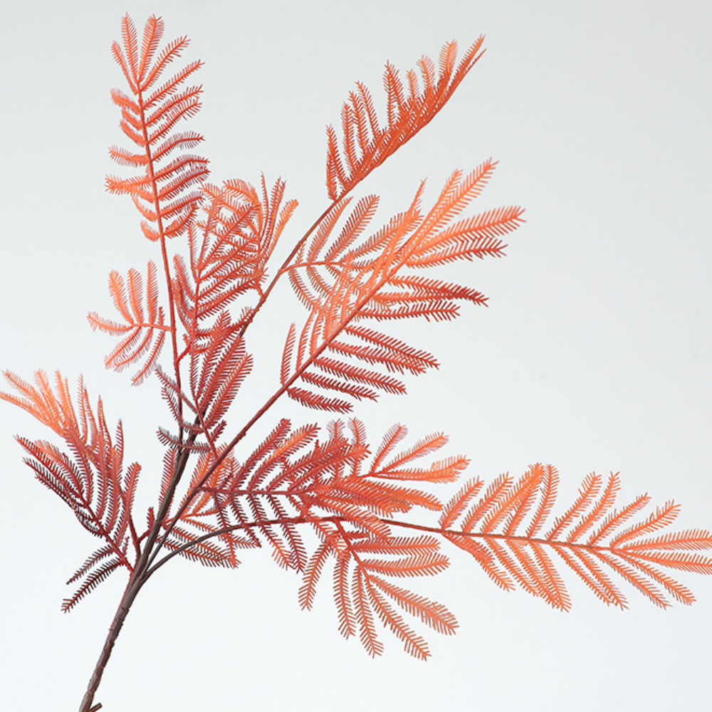 Orange d'automne