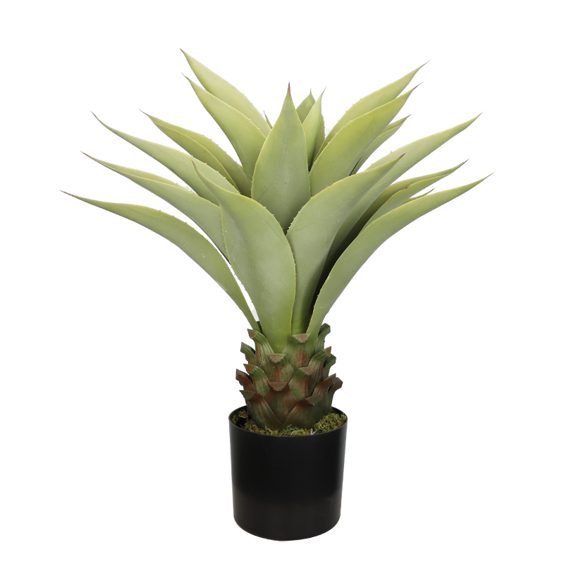 สไตล์1-71ซม