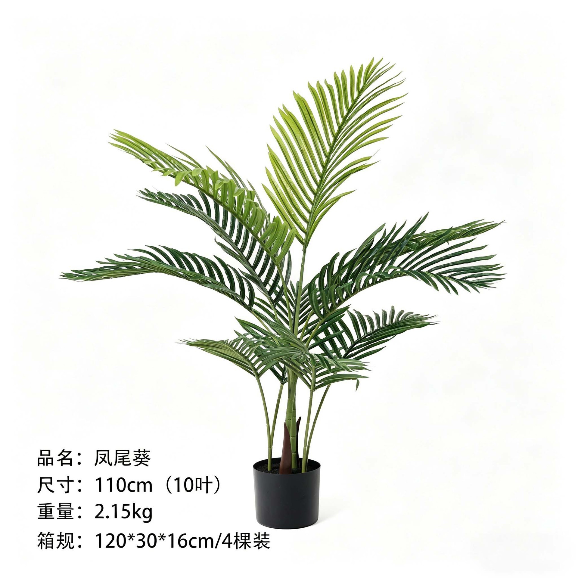 Palma Phoenix 110 cm - 10 foglie
