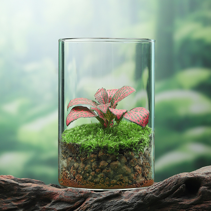 Musgo verde + pasto rojo enrejado + tierra de jade rojo + gl