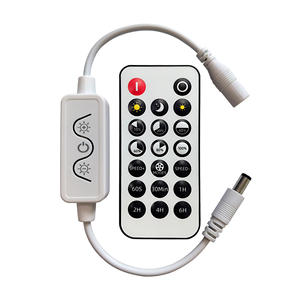 Control de aplicaciones Mini controlador LED de un solo color RF 20Key Control remoto Temporizador Atenuador de luz LED para Módulo de señal de tira Led