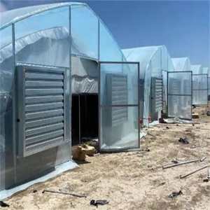 Gegalvaniseerde Gelaste Vierkante & Rechthoekige Stalen Buizen | Hoogwaardige Buizen Voor Kas & Industriële Bouw - Product Image 3