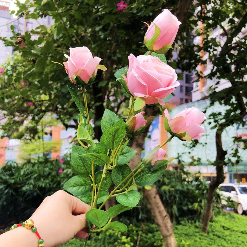6 head lovesickness rose pink