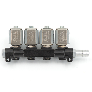LPG/CNG Sequentielles Kraftstoffs ystem Einspritzung Auto Gas Kit Einspritz schiene 2Ohm Auto injektor - Product Image 4