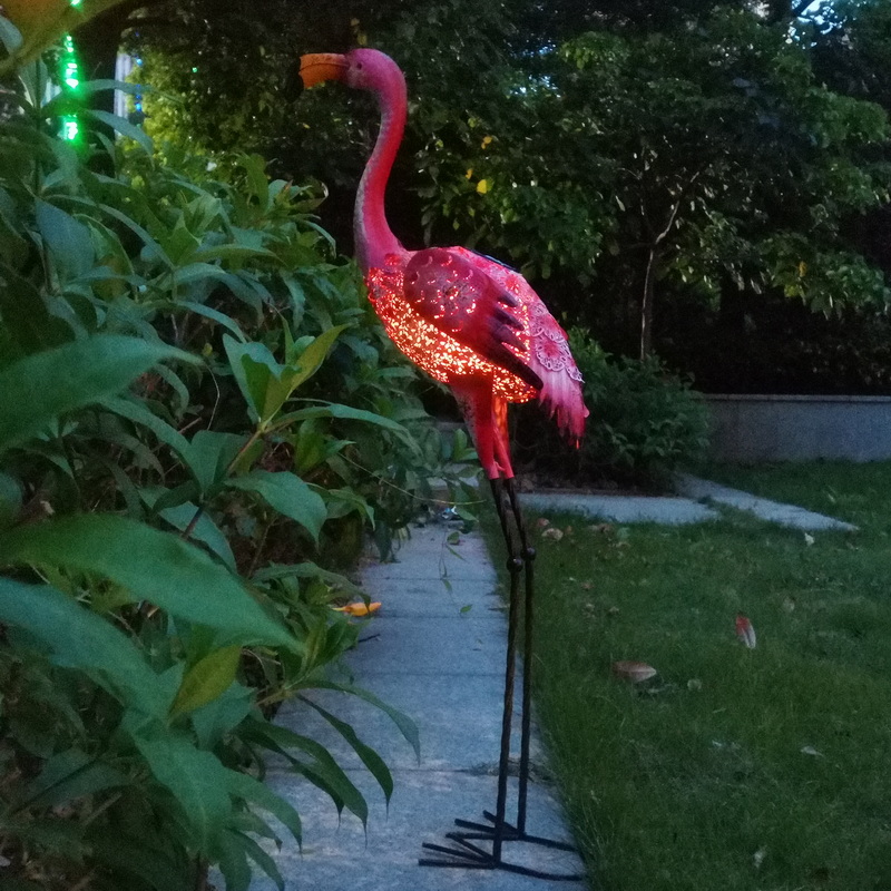 Flamant rose avant avant