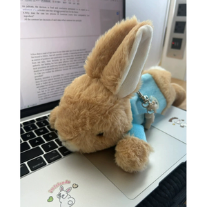 兔子毛绒动物卡通彼得兔纪念公仔铅笔盒毛绒玩具生日礼物女童儿童玩具 - Product Image 2