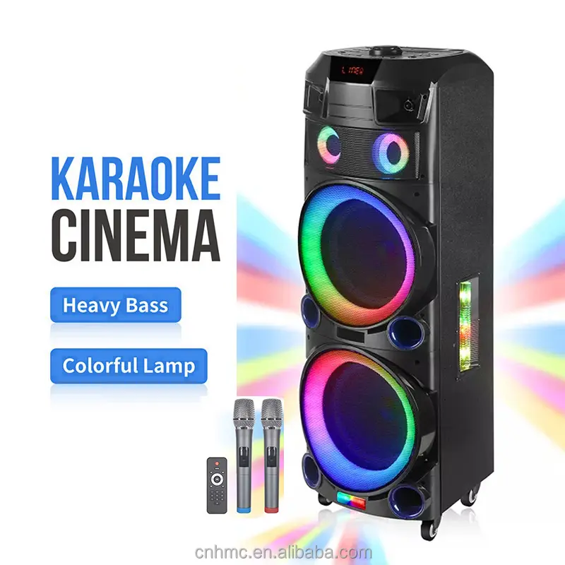 NDR-7022 Audio Trolley Karaoke Laser Disco Big Subwoofer Pa Dual 12 pollici Active PA Speaker Cabinet professionale