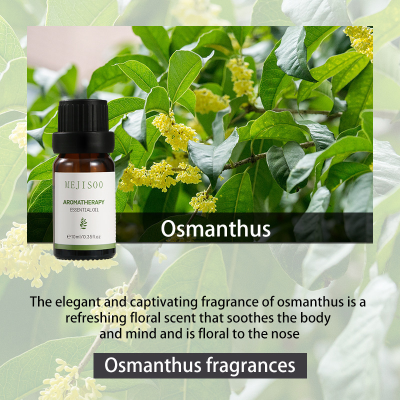 Osmanthus