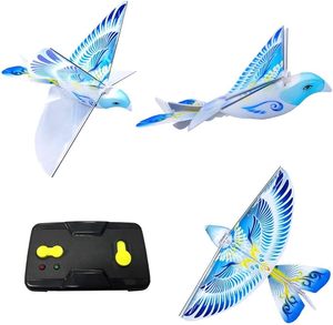 EPT RC e-kuş Airplane2.4G 2CH uzaktan kumanda oyuncak elektrikli oyuncak uzaktan kumandalı Drone Rc uçan kuş oyuncak Rc kuş - Product Image 3