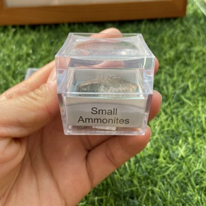 Bán Sỉ Hộp Đựng Khoáng Chất <span class=keywords><strong>Acrylic</strong></span> Nhỏ Hộp Đựng Mẫu Vật Tinh Thể Đá Thô Tự Nhiên Làm Quà Tặng - Product Image 6