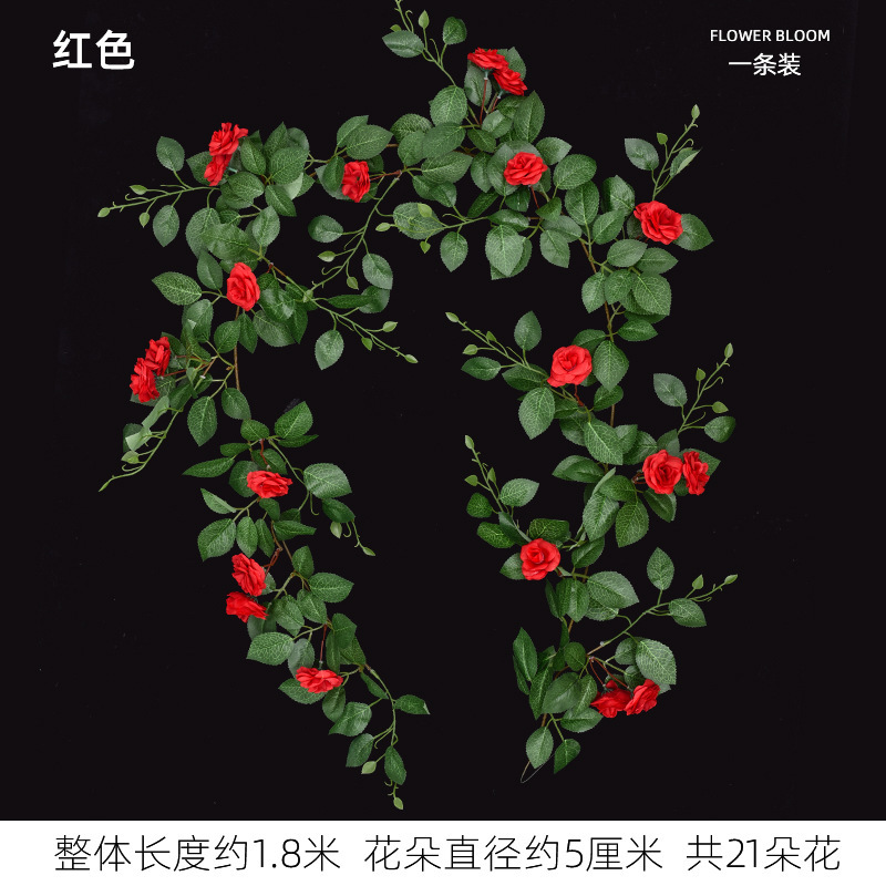 เถาวัลย์กุหลาบฝรั่งเศส - สีแดงเข้ม