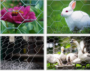 Full <strong>Automatic</strong> CNC <strong>Hexagonal</strong> Wire Mesh <strong>Netting</strong> <strong>Machine</strong>/ Rabbit Cage Twisting Mesh <strong>Machine</strong> - Product Image 3