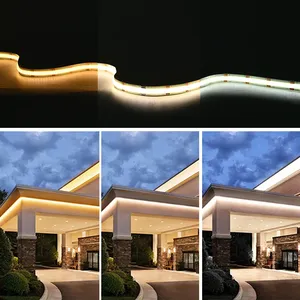 COB CCT <strong>LED</strong> Strip Lights 608 <strong>LEDs</strong>/m High Density Flexible Dimmable FOB <strong>Led</strong> Tape 2700K to 6500K Changeable Lighting DC12V 24V - Product Image 5