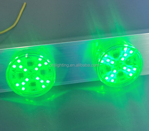2025 nuovo Design 48mm 20leds luna luna luce Pixel AC24V E14 RGB parco divertimenti LED automatico RGBW carosello di illuminazione - Product Image 5