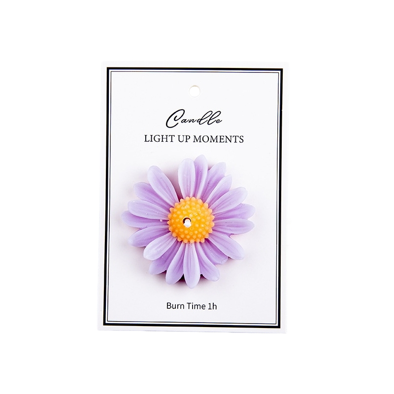 Purple-Daisy