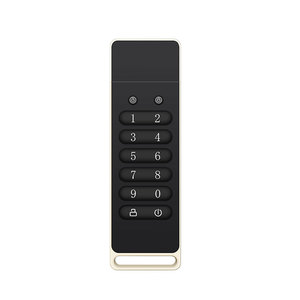 Best Selling Key Password Protection <strong>Flash</strong> Disk Digital <strong>Encrypted</strong> USB <strong>Flash</strong> Drive OEM ODM OBM Customazition - Product Image 1