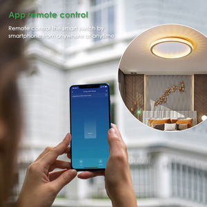 Tuya Doodleミニwifiスマートスイッチ音声リモートコントロールタイミング共有デュアルコントロールスイッチ - Product Image 3