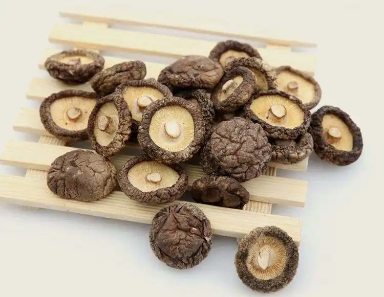 Seta de shiitake seca, seta medicinal, venta al por mayor, OEM, precio de fábrica