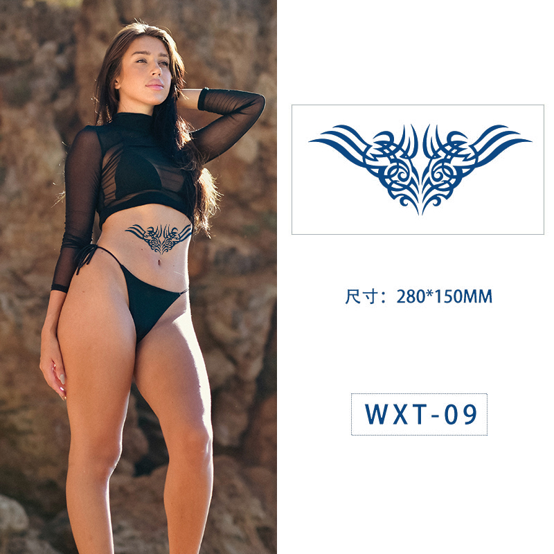 WXT009 (en inglés)