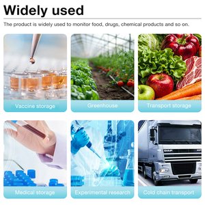 Wholesale High Quality <strong>Temperature</strong> Record <strong>Data</strong> <strong>Logger</strong> <strong>Temperature</strong> Alarm Cold Chain <strong>Temperature</strong> Recorder - Product Image 6