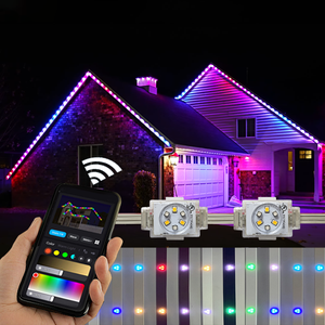 Outdoor Permanent Christmas Light Waterproof 48V <strong>Led</strong> Point Controller <strong>Programmable</strong> Addressable <strong>String</strong> Pixel Light - Product Image 1