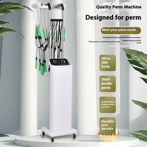Sistema de peluquería de salón de doble pantalla de gama alta ultraligera temperatura constante inteligente permanente digital doble-caliente permanente cuadrado moderno - Product Image 1