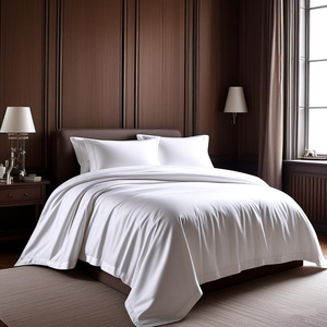 Luxus 100% Polyester Queen Size Mikro faser Bettlaken Set Promotion Luxus gebürstet Blatt & Kissen bezug für zu Hause - Product Image 4