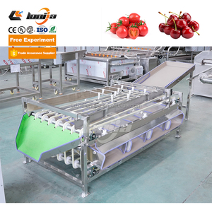 XINLONGJIA Automatic Fruit and Vegetable <strong>Sorting</strong> <strong>Machine</strong> Citrus Cherry and Orange Washing Line for Nuts and Saint Fruit - Product Image 1