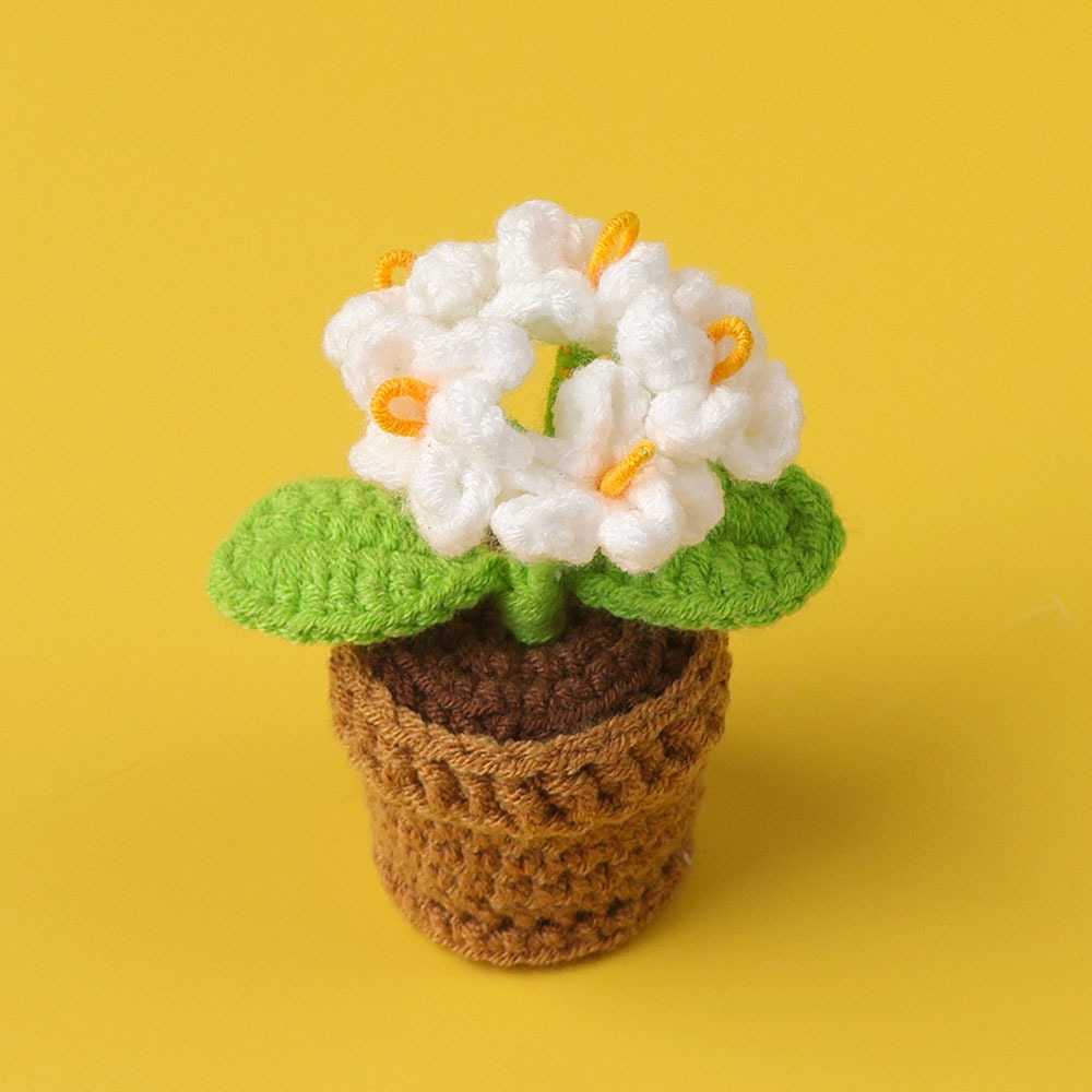 Plante en pot myosotis blanc à 5 têtes-mini pot de fil