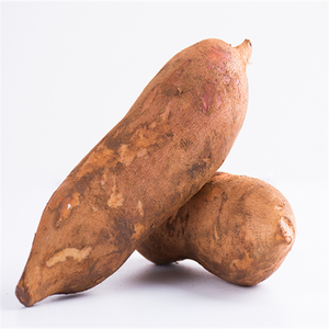 Ekstrak makanan kualitas tinggi GMP Kosher ekstrak Sonchifolius alami smalthus ekstrak akar buah Yacon dalam kemasan Drum kemasan vakum air - Product Image 2