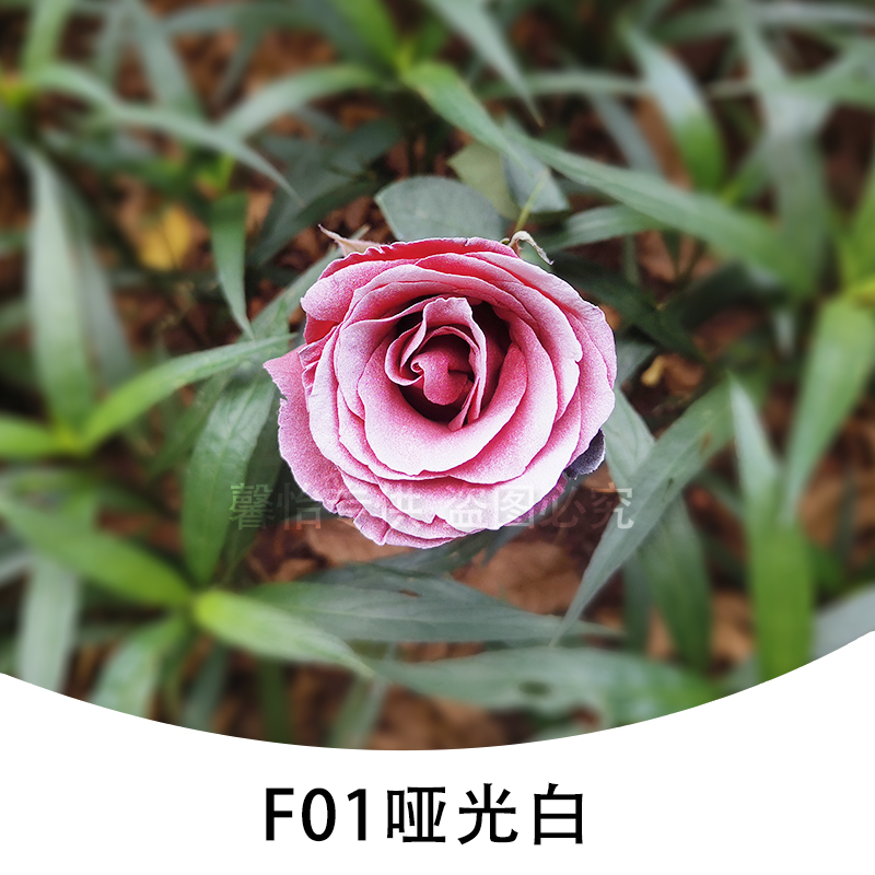F01 Matte white