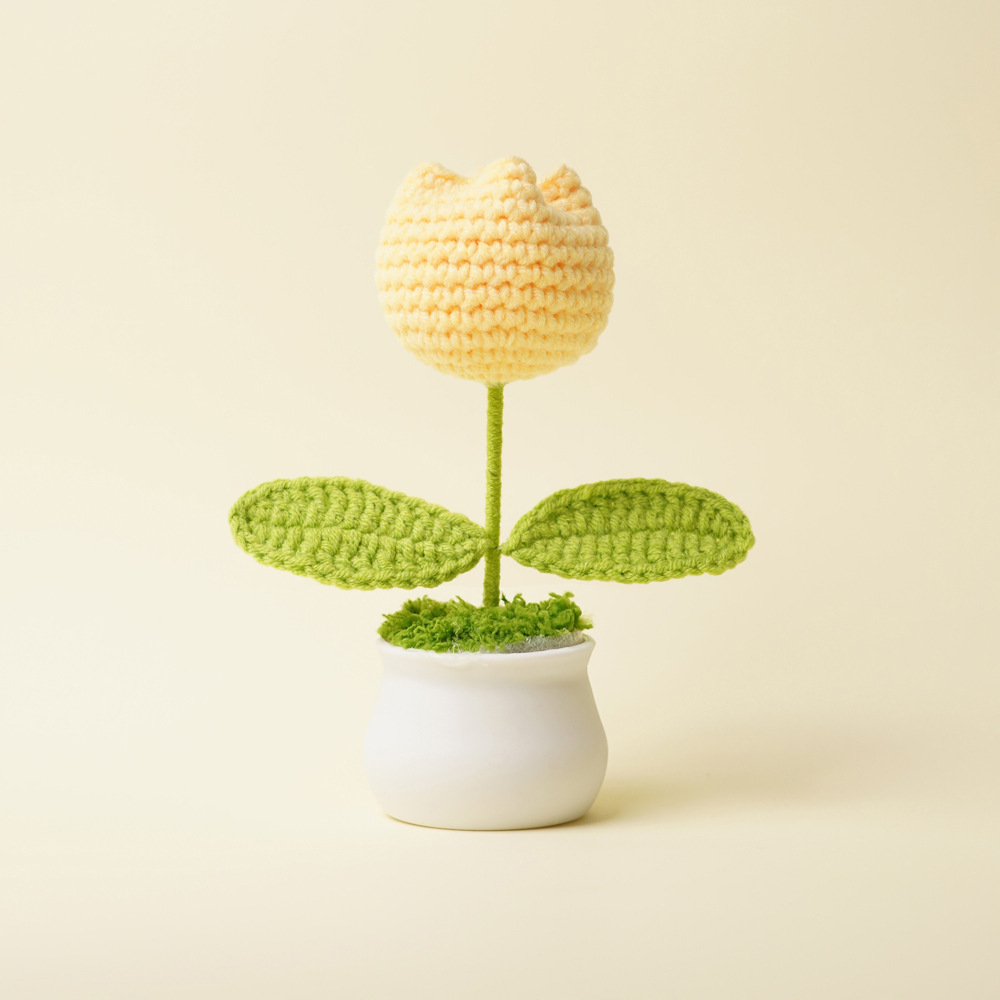 Plante en pot de tulipe jaune