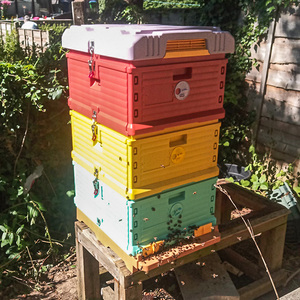HDPE Langstroth 3 Layer 10 Frame Beehive Thermal Plastic Insulated Bee Hives - Product Image 1