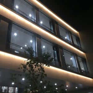 Material de Férias Personalizado <span class=keywords><strong>LED</strong></span> Neon Flex <span class=keywords><strong>WS2811</strong></span> <span class=keywords><strong>Pixel</strong></span> Inteligente RGB 24V IP68 Impermeável Ideal para Bar & Club Iluminação - Product Image 3