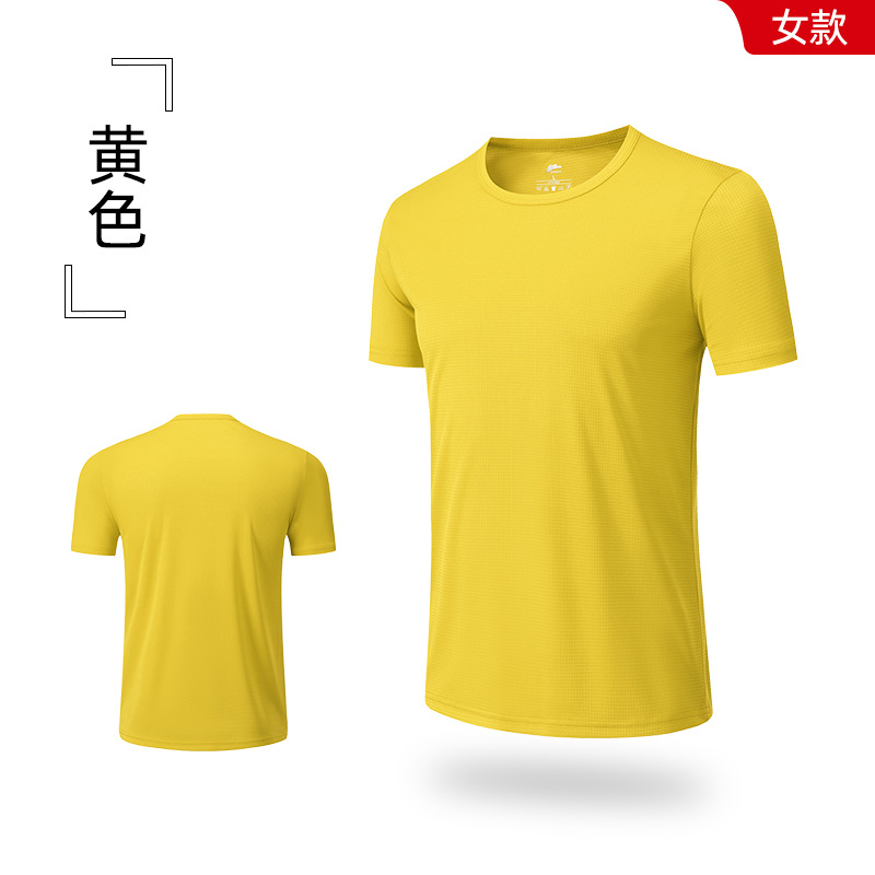 Jaune - Femelle