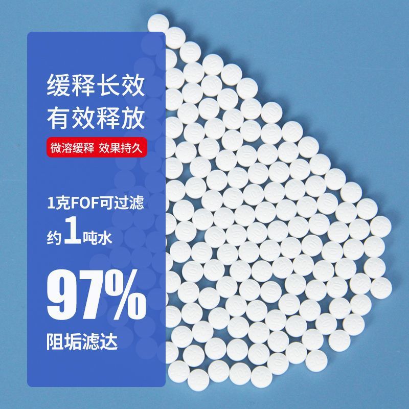 100g of scale inhibitor