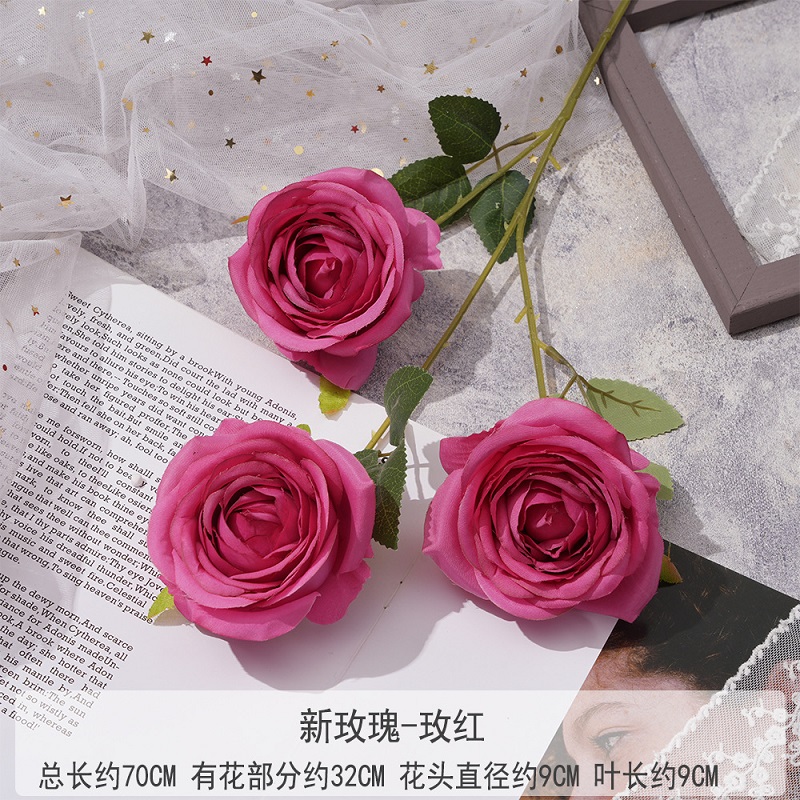 Rose Garance 3
