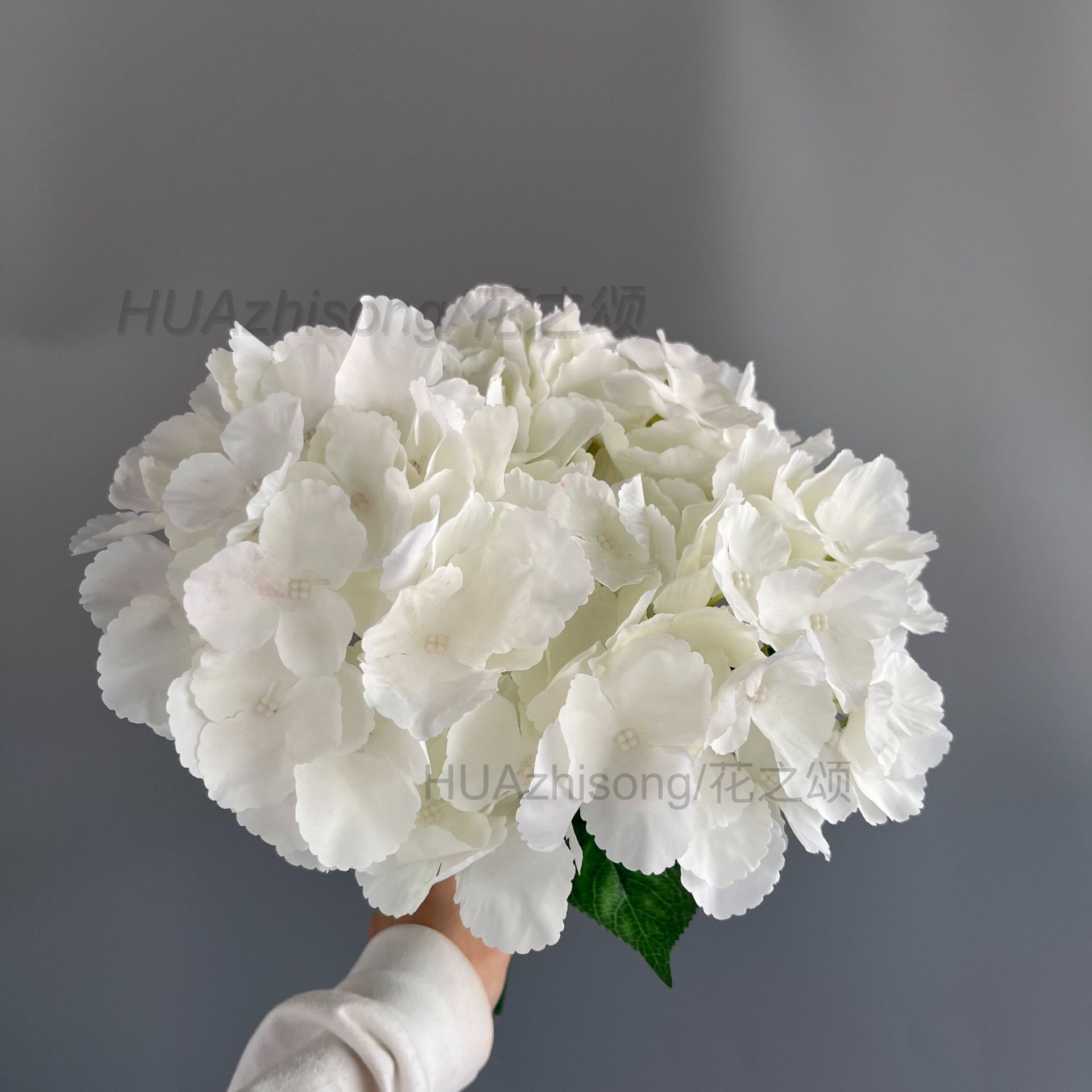Creamy white