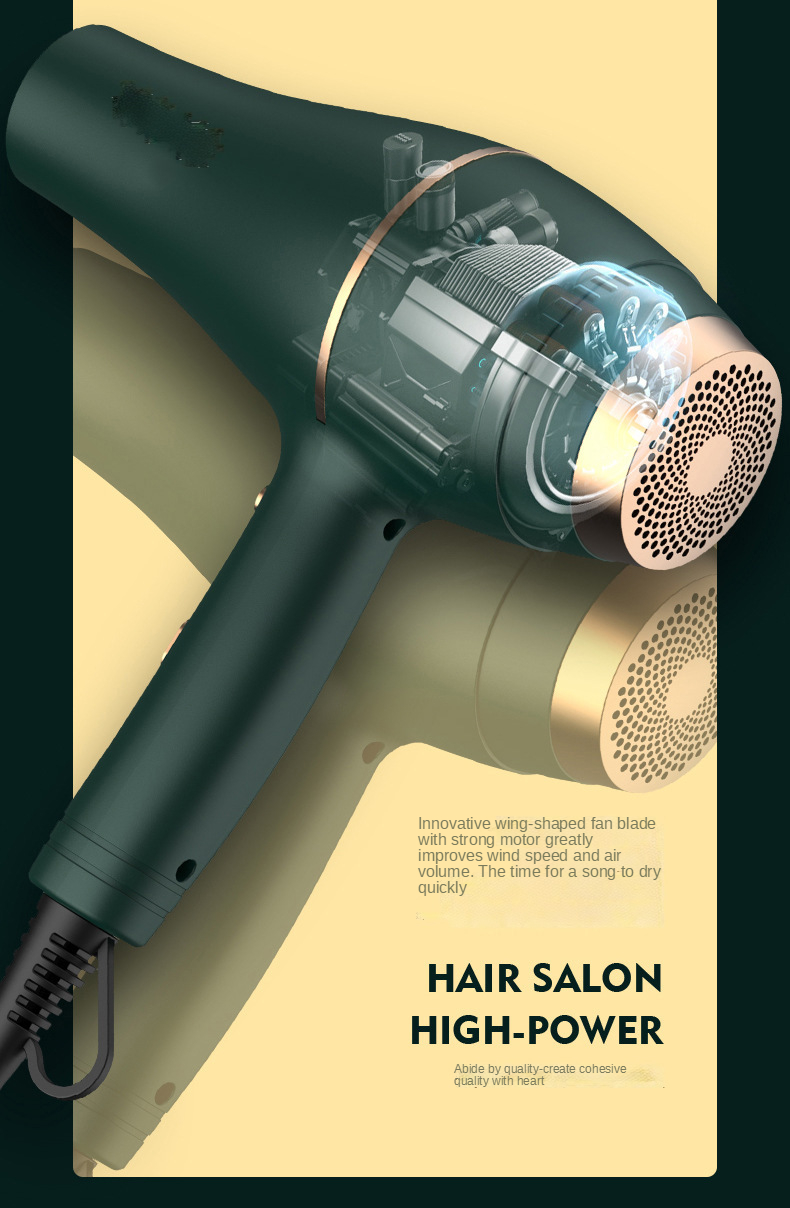 Hot Selling Salon Professional Dc Motor Concentrator/diffuser/ionic And Induction Function Professional Blow Hair Dryer