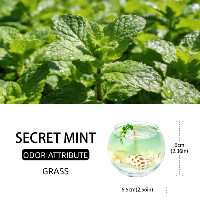Menthe secrète