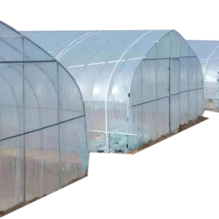 安価なトマト農業用プラスチックフィルムカバー野菜用経済トンネル温室