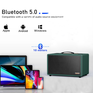 Potencia de salida portátil de 160W para altavoz Bluetooth, micrófono LED RGB para fiesta, Karaoke, ordenador, teléfono móvil, acabado de madera auxiliar para el hogar