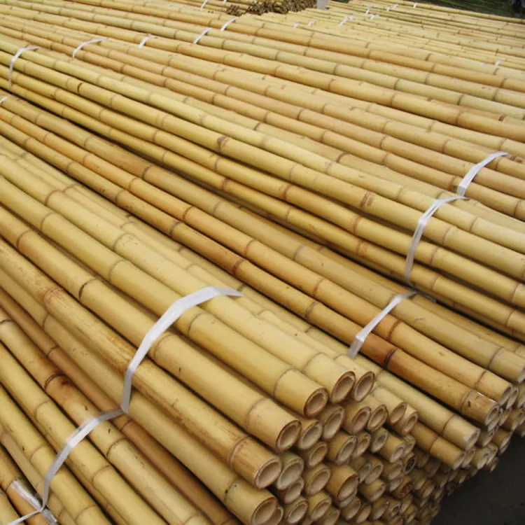 Treated Bamboo Poles for Sale